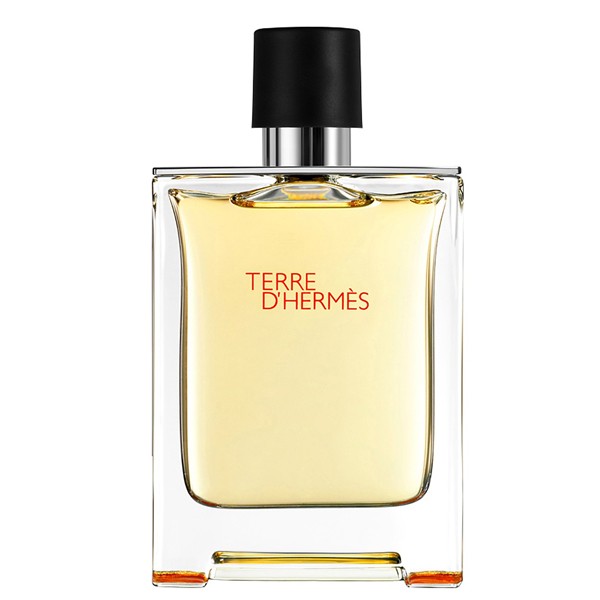HERMÈS
                            
                                                        Terre D'Hermes Pour Homme