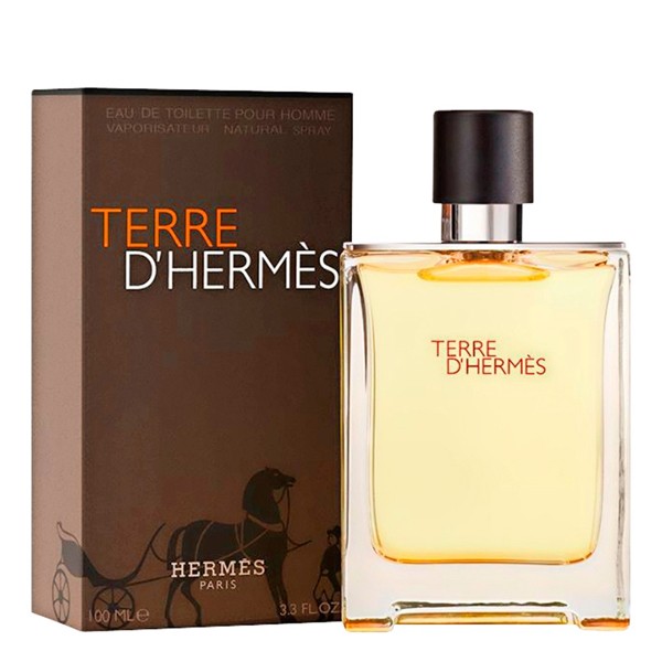 HERMÈS
                            
                                                        Terre D'Hermes Pour Homme