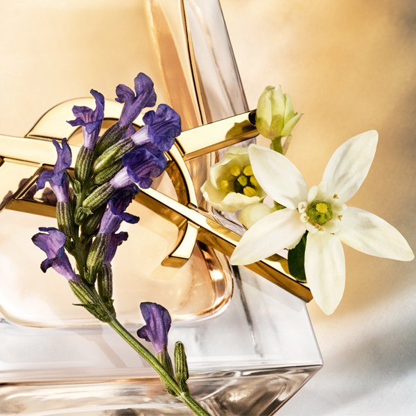 YVES SAINT LAURENT
                            
                                                        Libre
Eau de Parfum